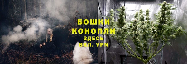 хмурый Михайлов