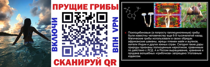 гидра сайт  Приволжск  Галлюциногенные грибы мухоморы 