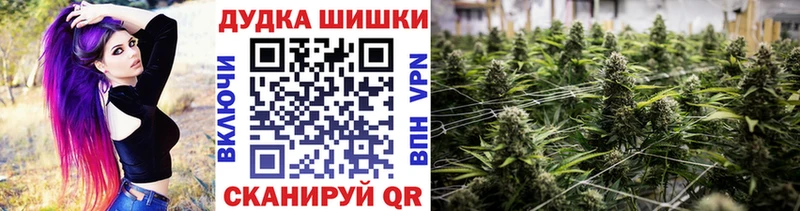 Бошки марихуана THC 21%  как найти наркотики  Приволжск 